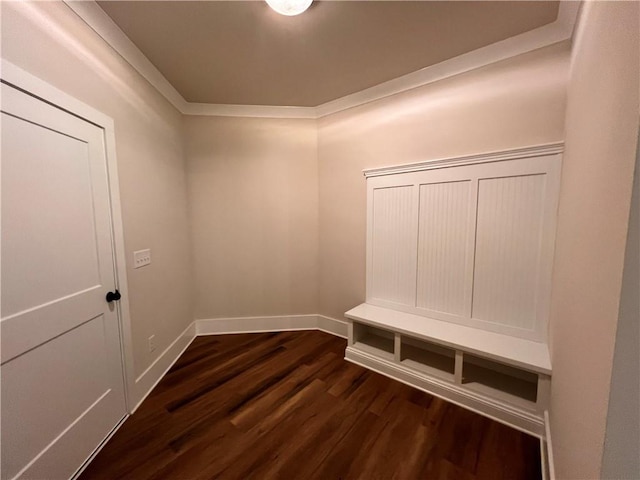 mudroom featuring dark hardwood / wood-style floors