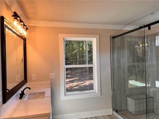 bathroom featuring vanity, hardwood / wood-style flooring, and an enclosed shower