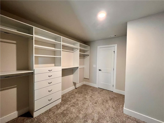 walk in closet featuring light carpet