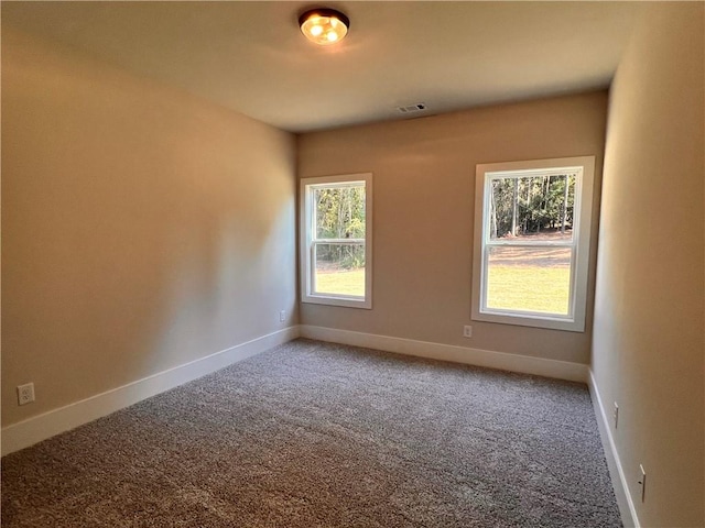 unfurnished room featuring carpet flooring and plenty of natural light