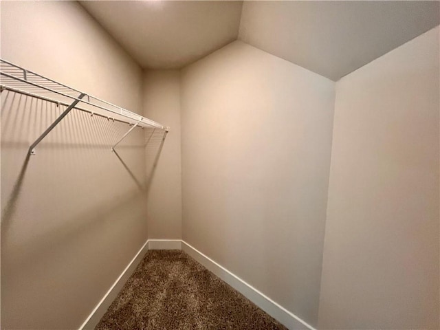 walk in closet featuring carpet flooring and lofted ceiling