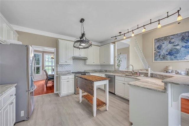 225 Ruby Forest Pkwy, Suwanee, GA 30024 - kitchen featuring stainless steel appliances, a peninsula, light wood-type flooring, under cabinet range hood, and tasteful backsplash