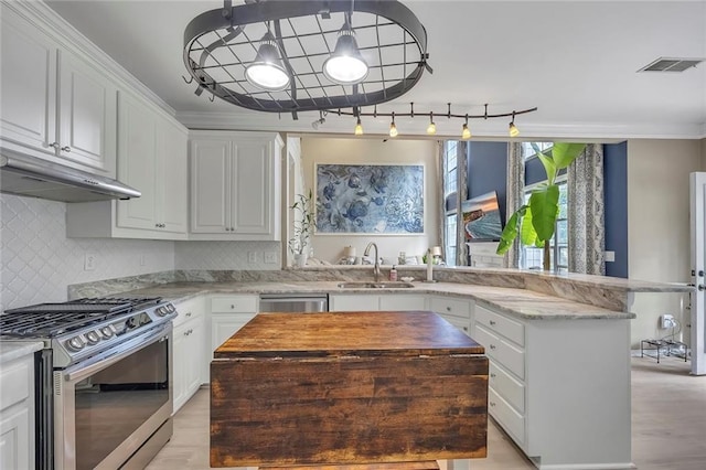 225 Ruby Forest Pkwy, Suwanee, GA 30024 - kitchen featuring stainless steel appliances, under cabinet range hood, rail lighting, and white cabinets