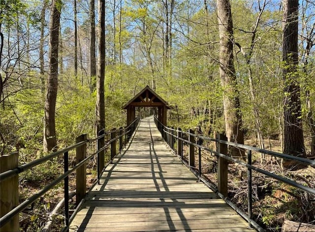 225 Ruby Forest Pkwy, Suwanee, GA 30024 - view of property's community
