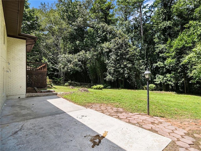 view of yard with a patio