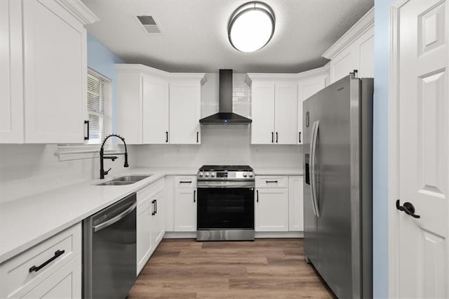 kitchen with white cabinetry, appliances with stainless steel finishes, sink, and wall chimney exhaust hood