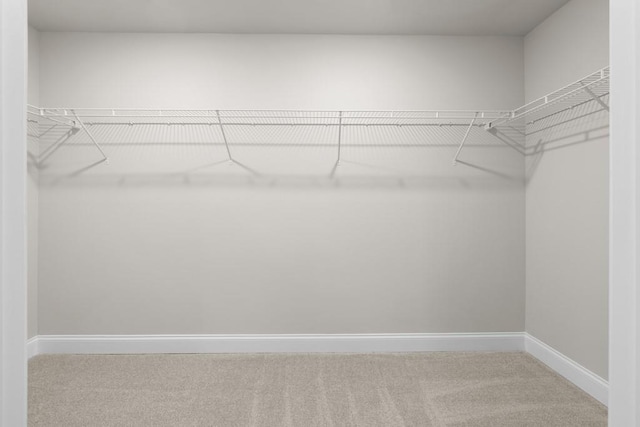 walk in closet featuring carpet floors