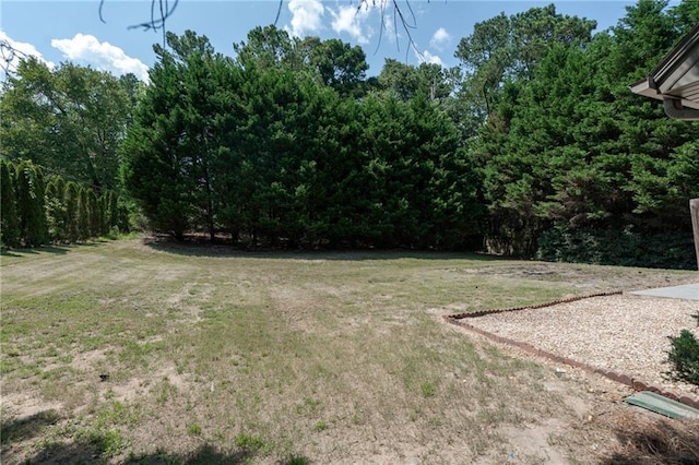 1200 Martins Chapel Ln SE, Lawrenceville, GA 30045 - view of green lawn