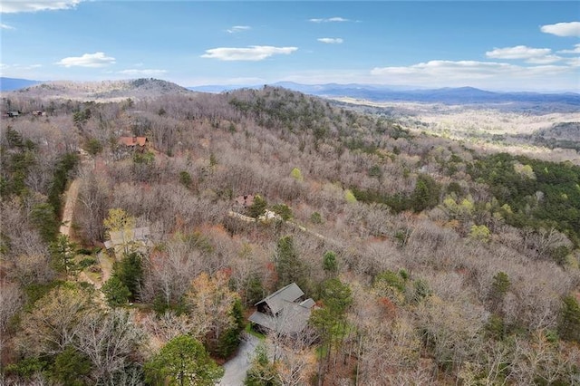 property view of mountains