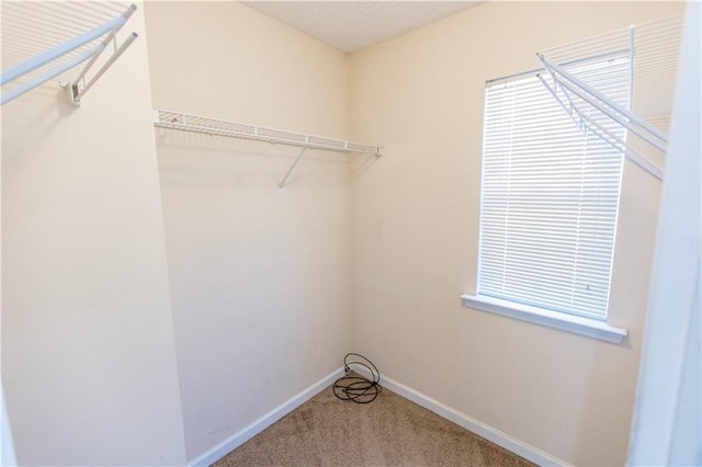 1830 Bayrose Cir Unit 30B, East Point, GA 30344 - spacious closet featuring carpet flooring