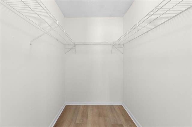 spacious closet featuring wood finished floors