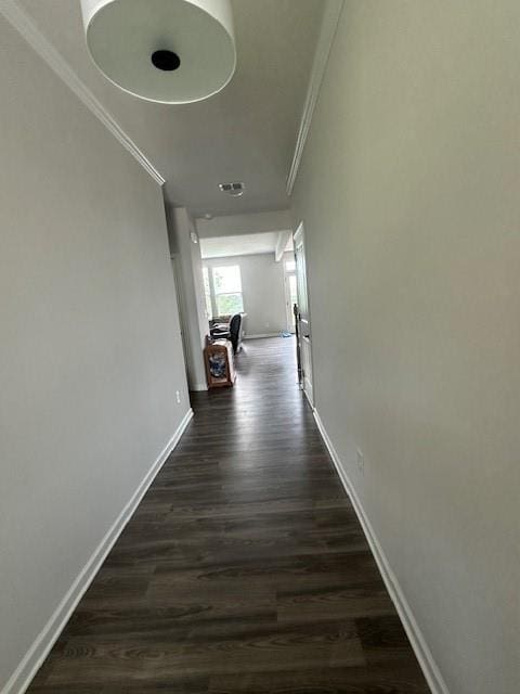 corridor featuring crown molding and hardwood / wood-style floors