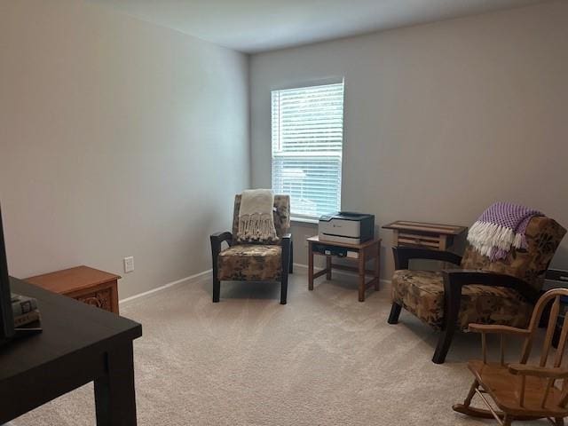 living area with light colored carpet