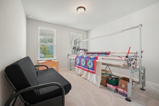 bedroom featuring light carpet