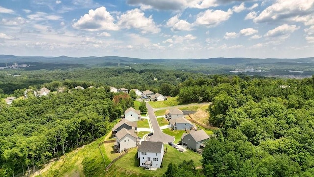 birds eye view of property with a mountain view