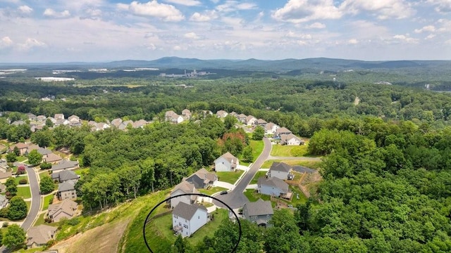 birds eye view of property with a mountain view