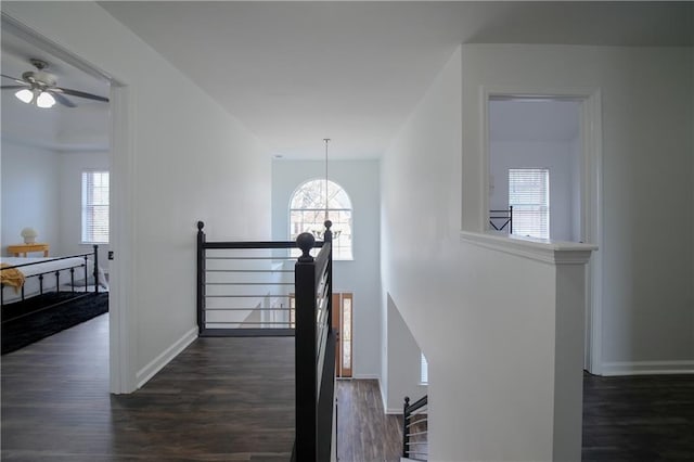 stairs featuring wood-type flooring and a chandelier