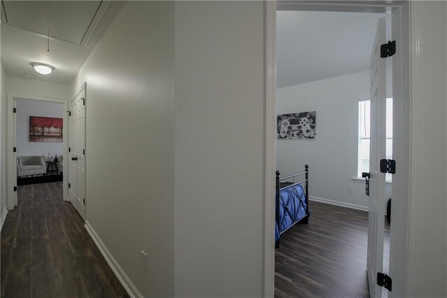 bedroom featuring dark wood-type flooring and high vaulted ceiling