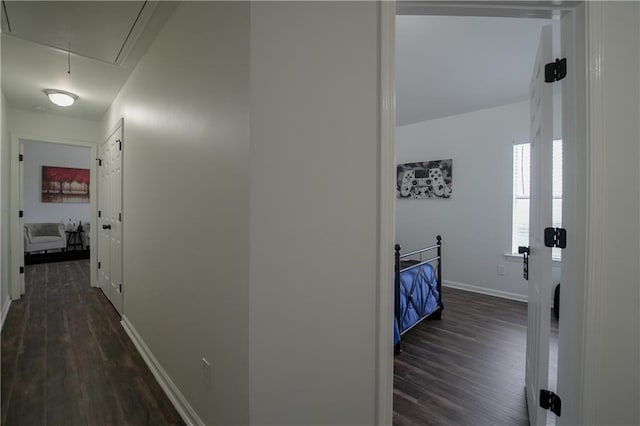 corridor with dark hardwood / wood-style flooring