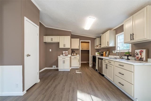 kitchen with sink, a textured ceiling, stainless steel appliances, vaulted ceiling, and hardwood / wood-style flooring