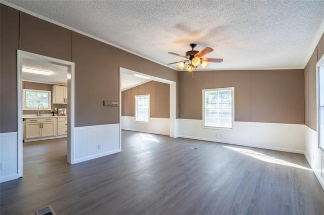 empty room featuring a wealth of natural light, vaulted ceiling, a textured ceiling, and dark hardwood / wood-style flooring