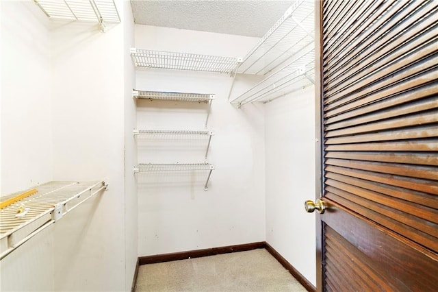 spacious closet featuring carpet floors