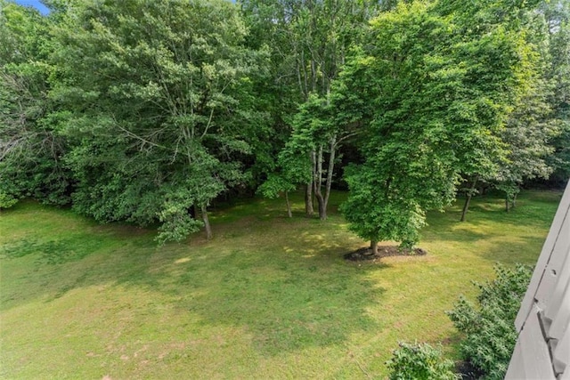 4514 Walking Stick Ln, Gainesville, GA 30506 - view of grassy yard