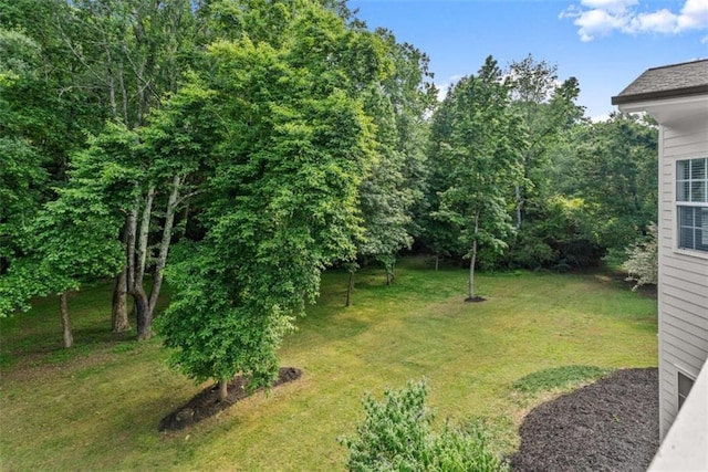 4514 Walking Stick Ln, Gainesville, GA 30506 - view of grassy yard