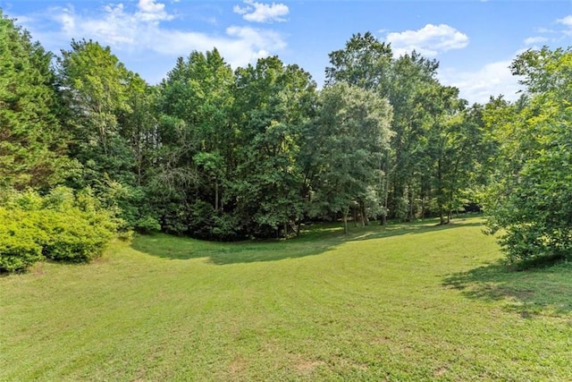 4514 Walking Stick Ln, Gainesville, GA 30506 - view of grassy yard