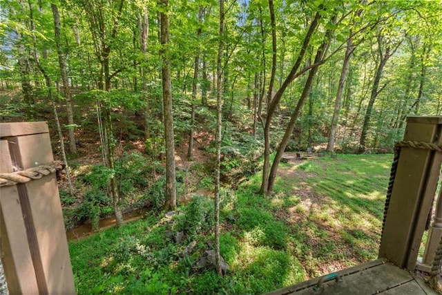4514 Walking Stick Ln, Gainesville, GA 30506 - view of yard