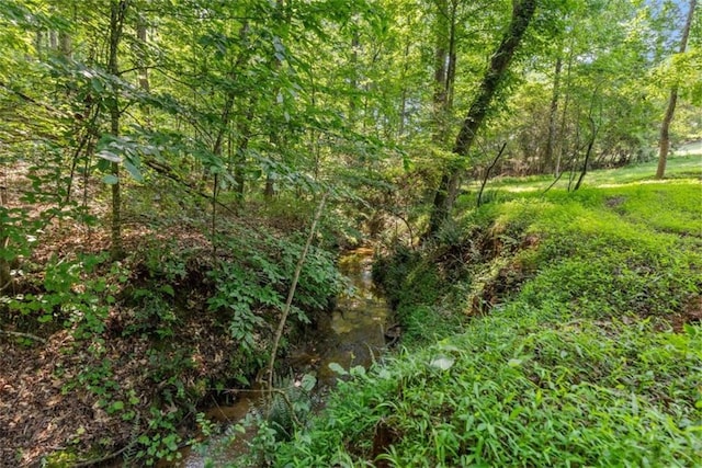 4514 Walking Stick Ln, Gainesville, GA 30506 - view of undeveloped land