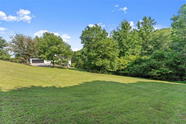 4514 Walking Stick Ln, Gainesville, GA 30506 - view of green lawn