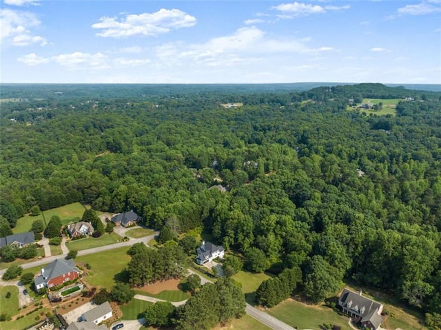 4514 Walking Stick Ln, Gainesville, GA 30506 - view of property location featuring a heavily wooded area