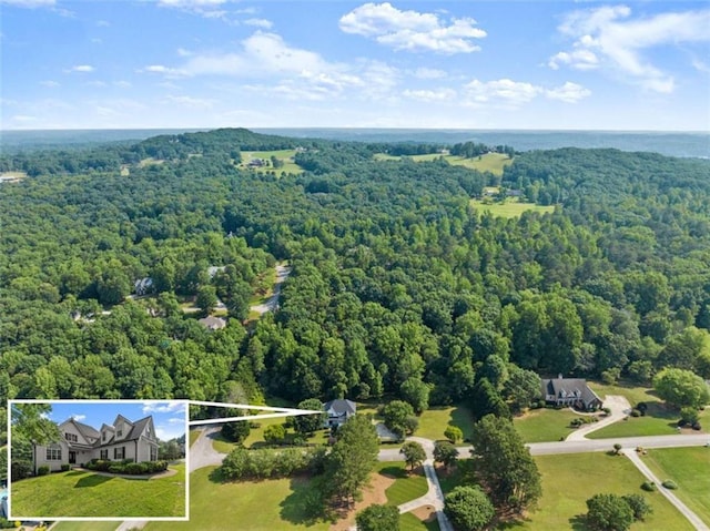 4514 Walking Stick Ln, Gainesville, GA 30506 - view of property location featuring a heavily wooded area and property parcel outlined