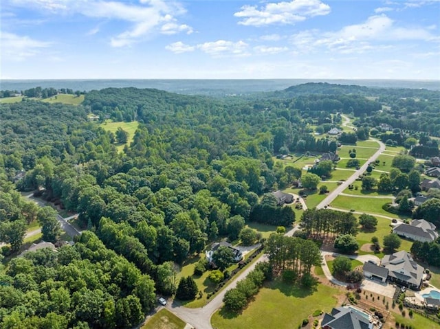 4514 Walking Stick Ln, Gainesville, GA 30506 - drone / aerial view of a forest