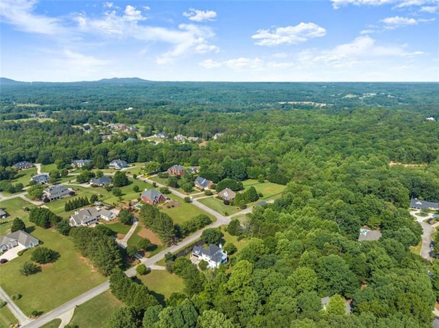 4514 Walking Stick Ln, Gainesville, GA 30506 - aerial view of property and surrounding area featuring a heavily wooded area