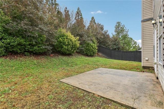 view of yard featuring a patio area