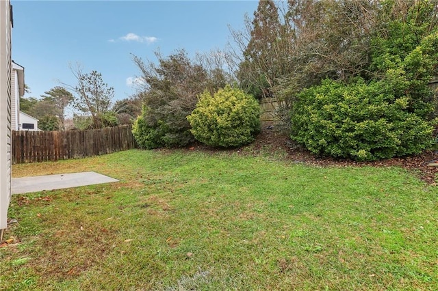 view of yard with a patio