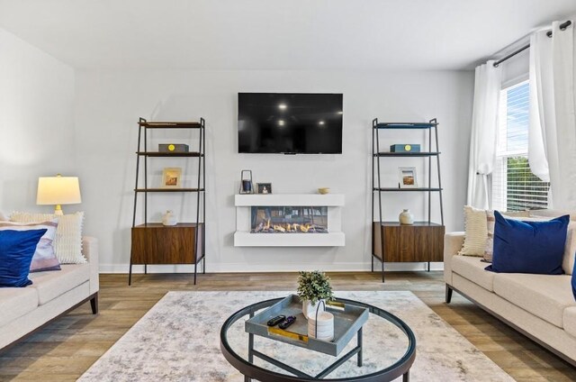 734 Great Oak Pl, Villa Rica, GA 30180 - living room featuring wood finished floors, baseboards, and a multi sided fireplace