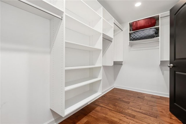 spacious closet with wood-type flooring