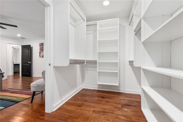 walk in closet featuring ceiling fan and dark wood-type flooring