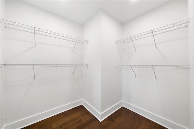 spacious closet featuring hardwood / wood-style floors