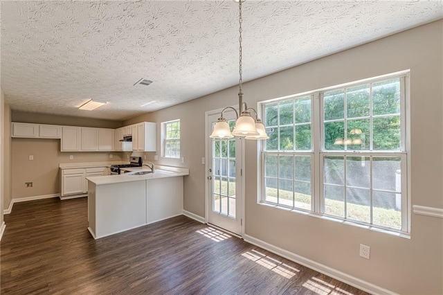 5280 Tussahaw Xing, Mcdonough, GA 30252 - full bathroom with a textured ceiling, visible vents, wood finished floors, vanity, and toilet