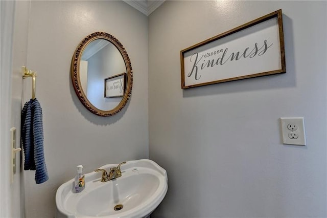 bathroom featuring a sink and crown molding