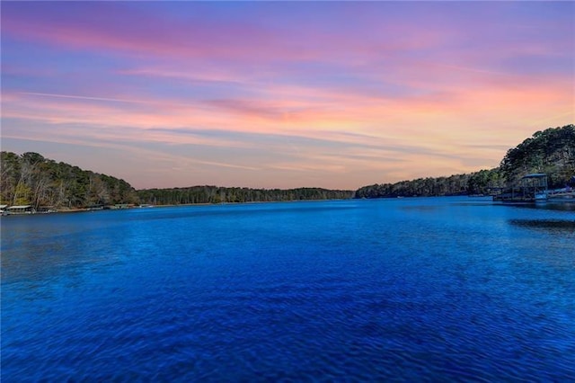 water view with a forest