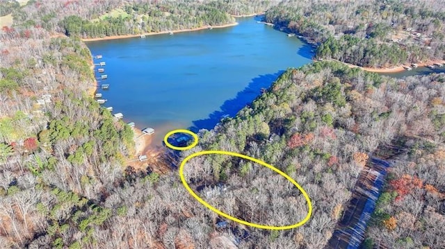 bird's eye view of a heavily wooded area and a large body of water