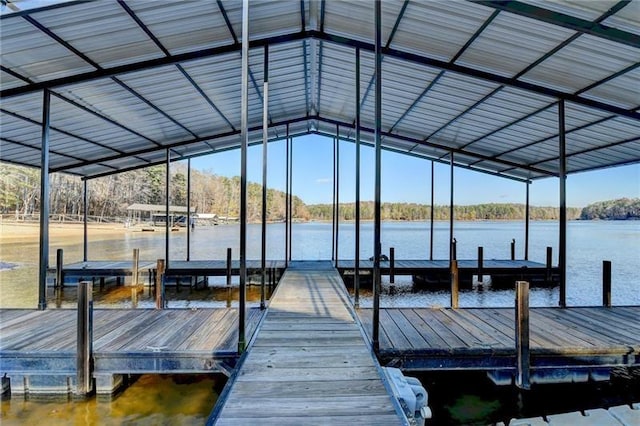 dock featuring a water view and boat lift