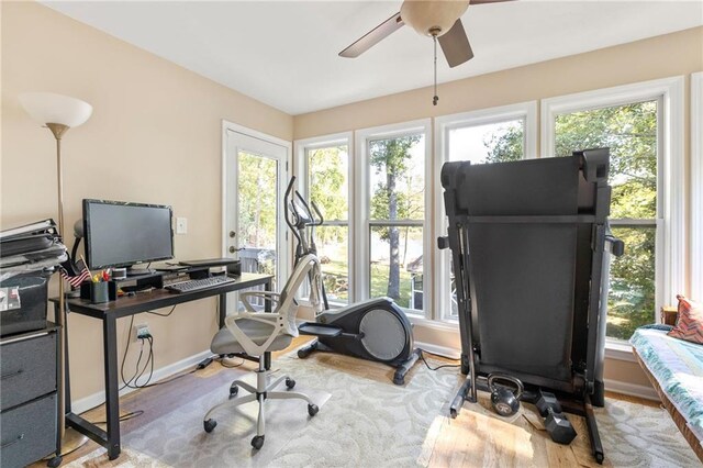 home office with plenty of natural light and light hardwood / wood-style flooring