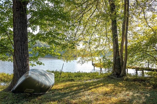 property view of water