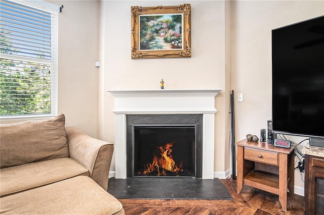 living area with baseboards, a lit fireplace, and a wealth of natural light